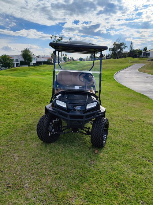 CARRITO DE GOLF CLUBCAR <br> BLUE ONYX - 2 PASAJEROS - Imagen 2