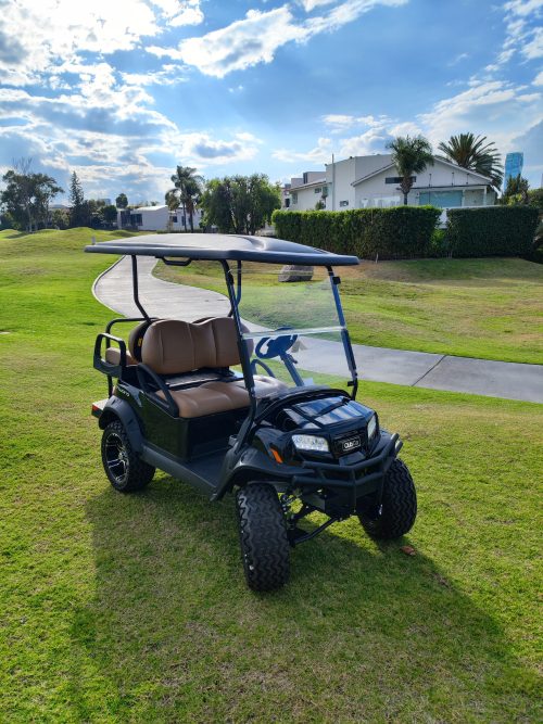 CARRITO DE GOLF CLUBCAR <br> BLUE ONYX - 2 PASAJEROS - Imagen 9