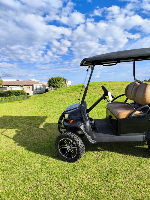 CARRITO DE GOLF CLUBCAR <br> BLUE ONYX - 2 PASAJEROS - Imagen 11